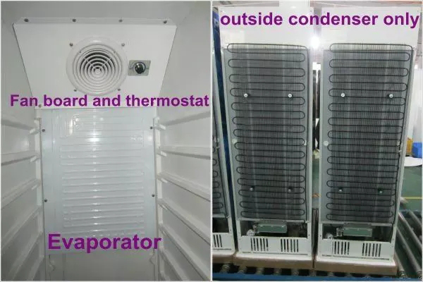 Auto Defrost Beverage Cooler Refrigerator With Self Closing Glass Door,350L Commercial Fridge without Canopy