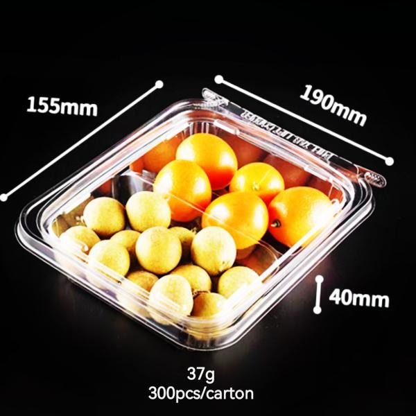 8oz 12oz 16oz 24oz 32oz 48oz Delicatessen Boxes With Clear Lids Food Clamshell Box Disposable Fruit Packaging Food Container