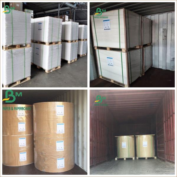 210g PLA Coated Cup Paper Completely Degraded FDA Approved Waterproof