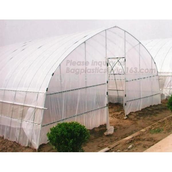 PE protective film customized green house for agriculture anti frost,Venlo Glass Agricultural Green house, SUPPLIES, PAC