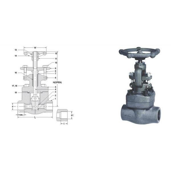 A105 OS & Y API 602 Forged Steel Valves , Threaded End Bolted Bonnet Globe Valve