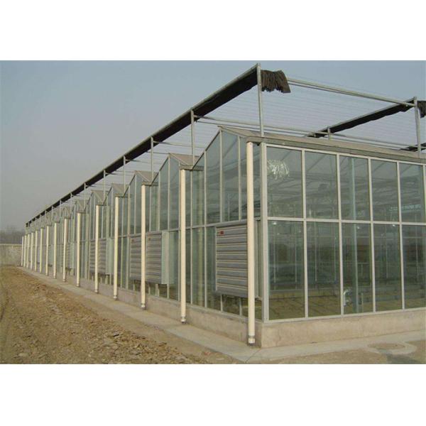 Venlo Type Toughened Glass Greenhouse Hot Galvanized Steel Skeleton Material