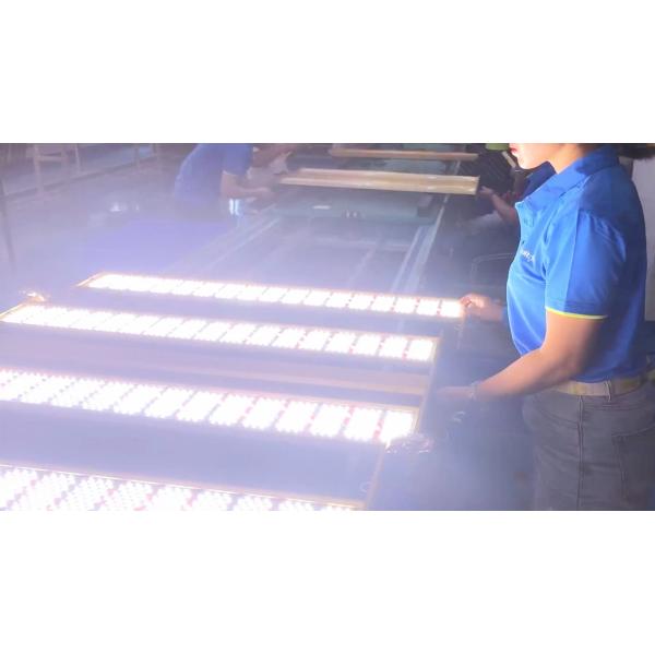 Growers Republic Indoor Farming LED Grow Lights 520W 2.8 PPE Full Spectrum for 2 x 4 Grow Tent