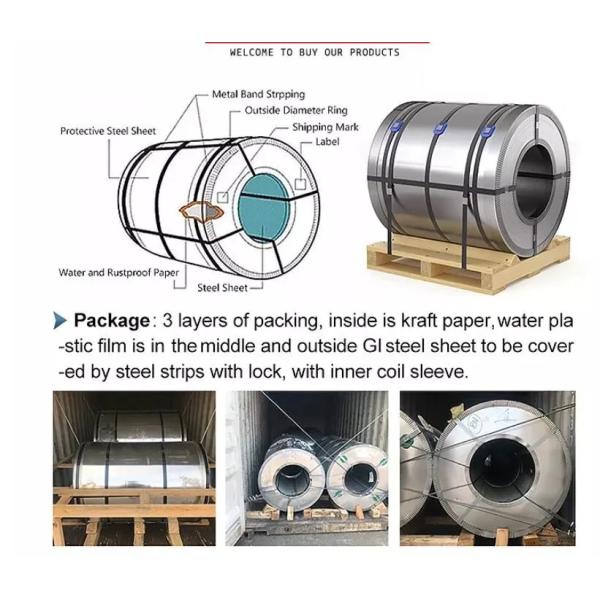 0.12mm - 0.6mm Prepainted Galvanized Steel Coil Dx51d Ral 6005