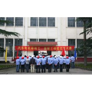 DEC Dongfeng Electric Machinery Co., Ltd.