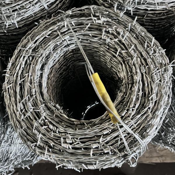 School Enclosure Special Barbed Wire Mesh Cheap Price Security Barbed Wire