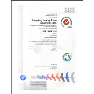 Guangdong Hershey Spring Industrial Co., Ltd  Certifications