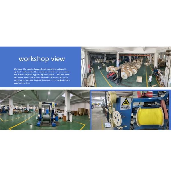 2 / 4 / 6 / 8 / 12 / 16 / 24 Core Single Mode Multimode Outdoor Armoured GYXTW Fiber Optic Cable