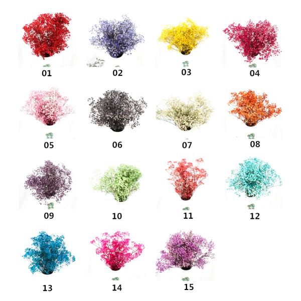 Decorative Natural Dried Pampas Grass , Fresh Keeping Preserved Pampas Grass