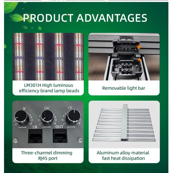 Three Channels Detachable LED Grow Light 10 Bar Full Spectrum Dimmable LED Grow Lights 1000W