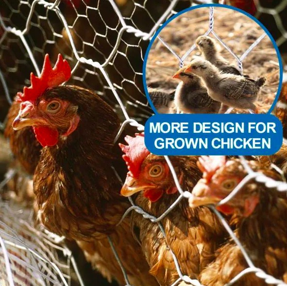 Zinc Coating Hexagonal Wire Mesh / Poultry Mesh Netting 2 Inch 20 Gauge 4 Ft X 50 Ft