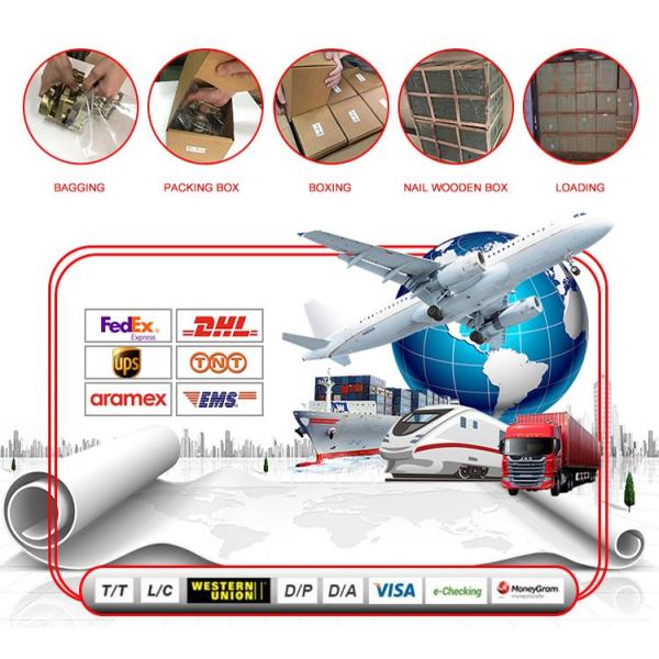 Auto Common Rail Diesel Fuel Injectors For Caterpillar Cat 3304 3304b 3306 3306B OEM 8N7005 170-5181 4W7017 8N-700