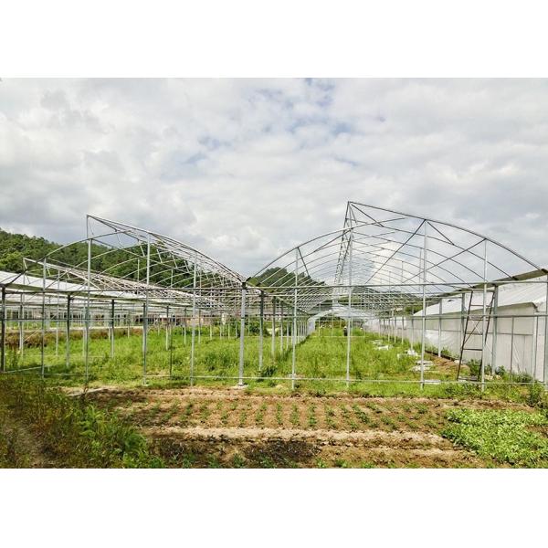 Easy-Assembly Galvanized Poly Multi-Tunnel Green House With Heavy-Duty Plastic Cover
