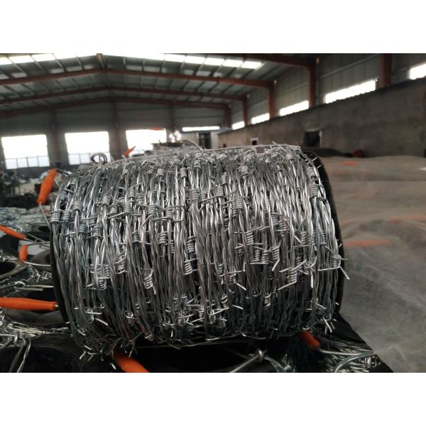 1.6mm Double Electric Concertina Barbed Wire Used For Protective Fence