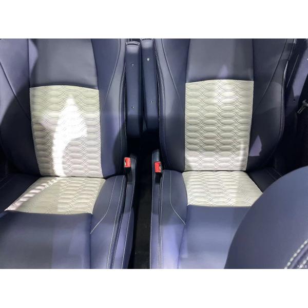 Unleash the Power of LIVAN 9 The 7-Seater Battery Electric Vehicle for Adult Drivers