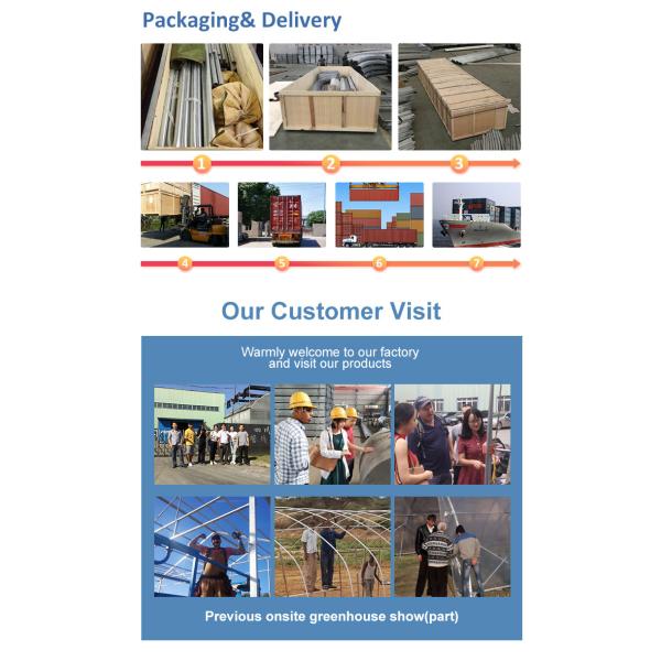 Light Deprivation High Grade Aluminum Alloy Frame Greenhouse For Marijuana Cultivation