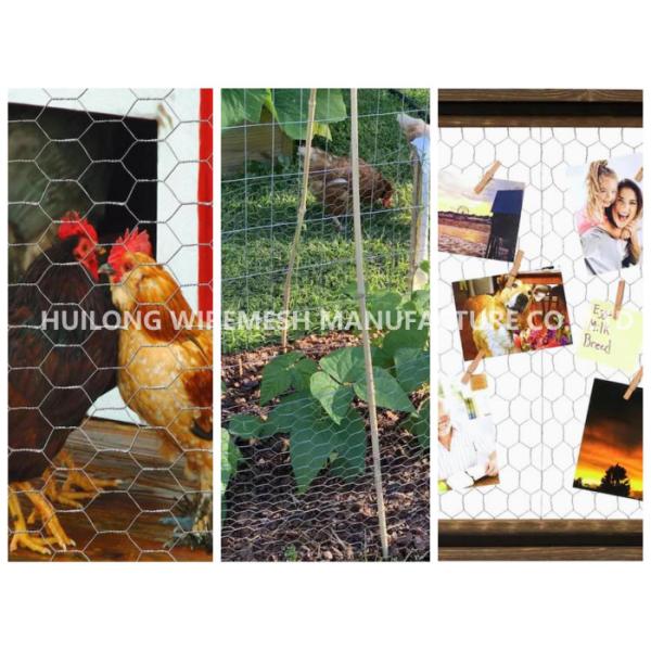 Black Double Twist Hexagonal Chicken Wire Mesh 48 Inches X 10m X 1 Inch