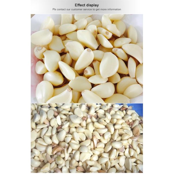 2.2KW Garlic Peeling Machine Industrial Factory Food Processor