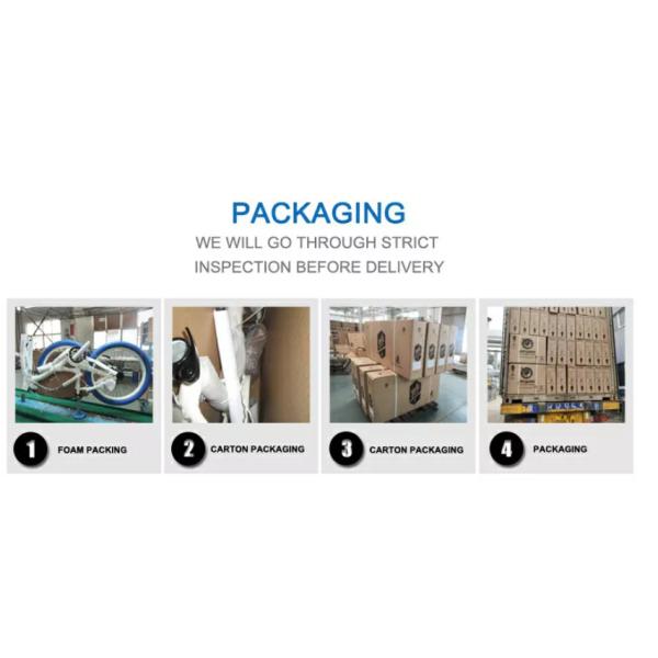 Mountain Full Suspension Carbon Fiber Beach Cruiser