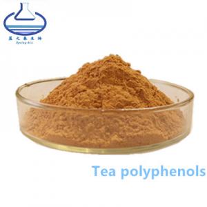 Quality Tea Polyphenols Green Tea Extract Powder Food Grade Leaf Part Extract wholesale
