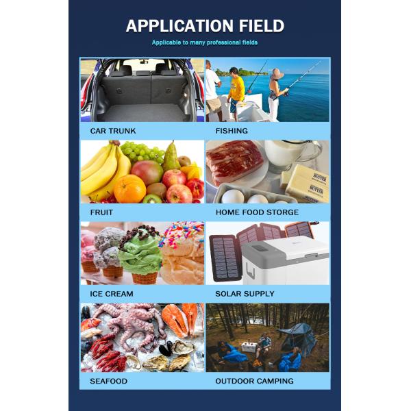 Under Table Portable Ultra Low Temp -45C Stirling Cooler with HE Refrigerant and Style