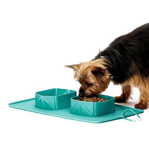Double Collapsible Dog Bowls Travel Portable With Silicone Mat
