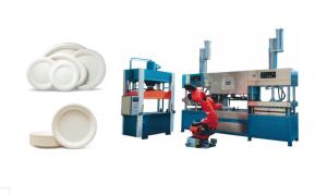 Quality Wheat Straw Pulp Tableware Production Line With Multi - Joints Robot And Stacking Machine wholesale