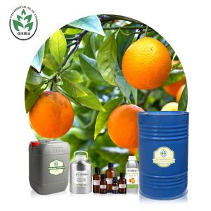 Quality Citrus Pure Organic Essential Oils wholesale