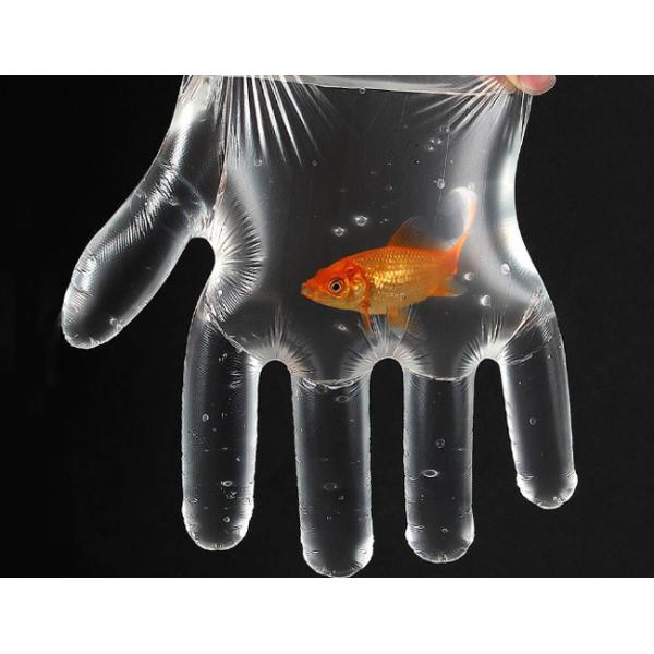 Thin Microfiber Transparent Kitchen Plastic Gloves