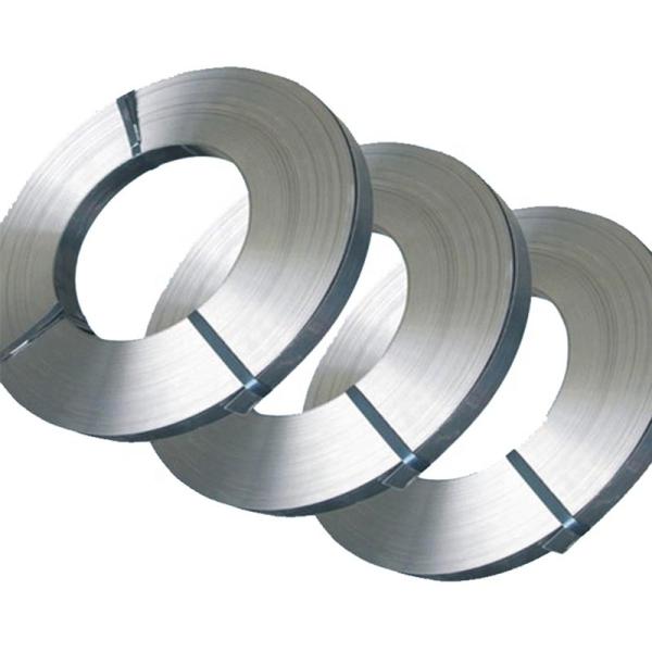 0.1-20mm Plat Strip SS 304