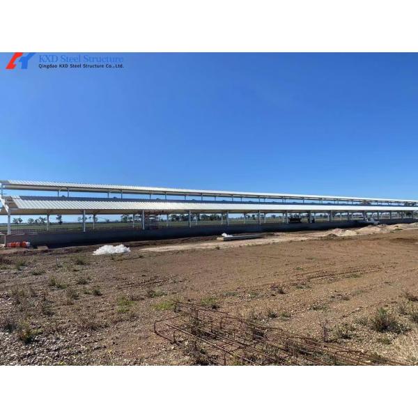 Long Span Steel Structure Piggery House Construction Prefab Poultry Farm Shed Construction