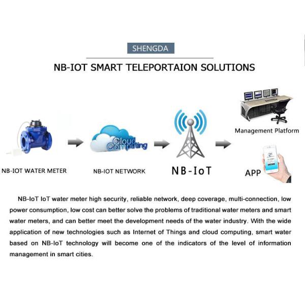 Dn 250 R80 Water Meter NB IoT Remote Bulk Water Meters with Mid Certificate