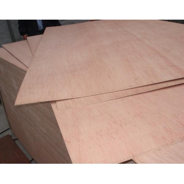 China commercial plywood funiture material, Bintangor/okoume/keruing/poplar/birch commercial plywood