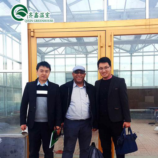 Galvanized Steel Structure Venlo Glass Greenhouse for Growing Vegetable Fruits Flowers