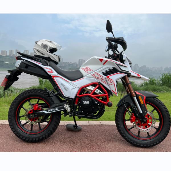 Powerful Street Legal Dirt Bike Motorcycle Electric Starting CDI Ignition