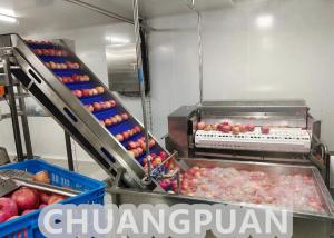Quality Industrial Turn Key HPP Apple Juice Production Line wholesale