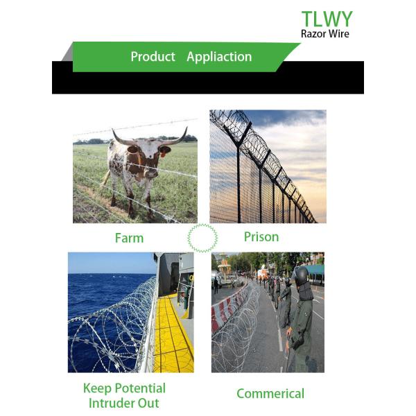 High Tensile Concertina Razor Wire CBT-65 With Single Coil