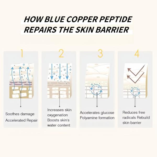 Quick-Acting Blue Copper Peptide Face Cream Ice Crystal Anti-Aging Collagen Firming Tender Skin Repair & Anti-Wrinkle Lotion OEM