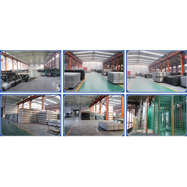 Powder Coated Green Color Double Rod Mat Fences For Garden 1.8*3m