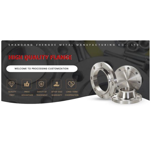 ASME ANSI B16.5 RF / FM 304 316 304L 316L Forged Welding Neck Stainless Steel Flange OEM Manufacturer