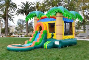 China Inflatable Coconut Tree Water Slide Bounce House For Holiday Event on sale