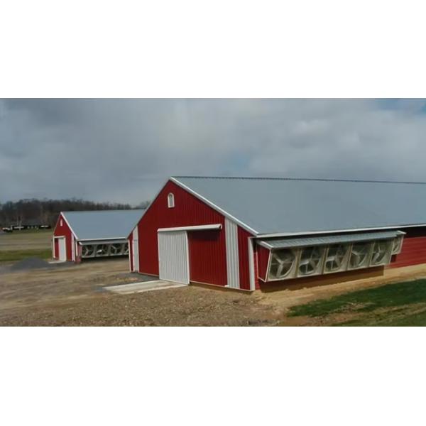 Corrosion Resistance Prefab Poultry House Light Steel Frame Fiberglass Wool Panel