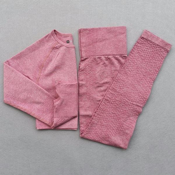 Nylon Women's Yoga Apparel Set Gym Yoga Clothes Fitness Leggings + Cropped Shirts