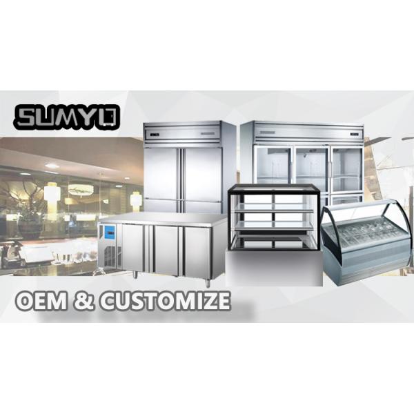 Commercial Stainless Steel  2 Doors Freezer GN Upright Refrigerator Hotel Restaurant Kitchen Chiller Freezer