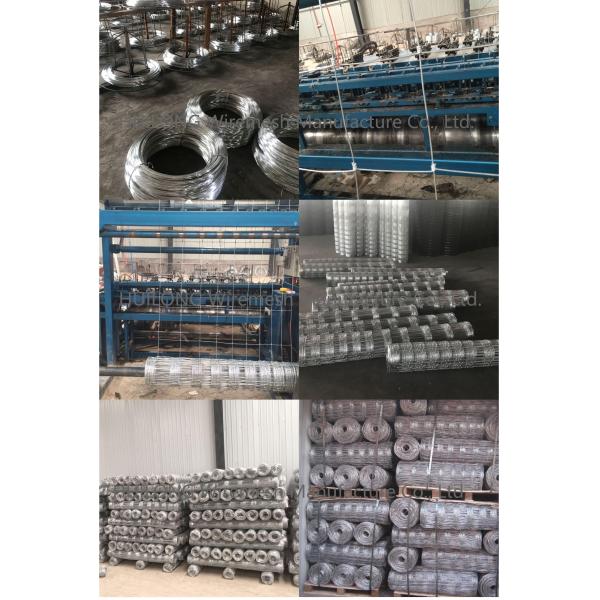 High Strength Hot Dipped Galvanized Grassland Fences, 0.9m Height 2mm Wire Hinge Joint Goat Wire Mesh Field Fence