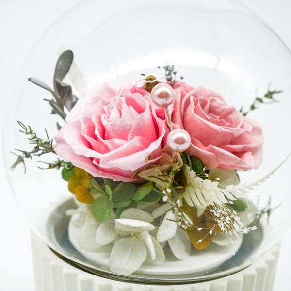 3-5 Years Lasting Preserved Rose Glass Dome Beautiful Home Decor Day Gift