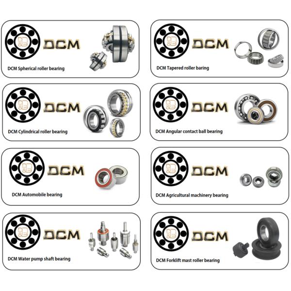 RZ RS RSR Radial Deep Groove Ball Bearing , sealed bearing 6000