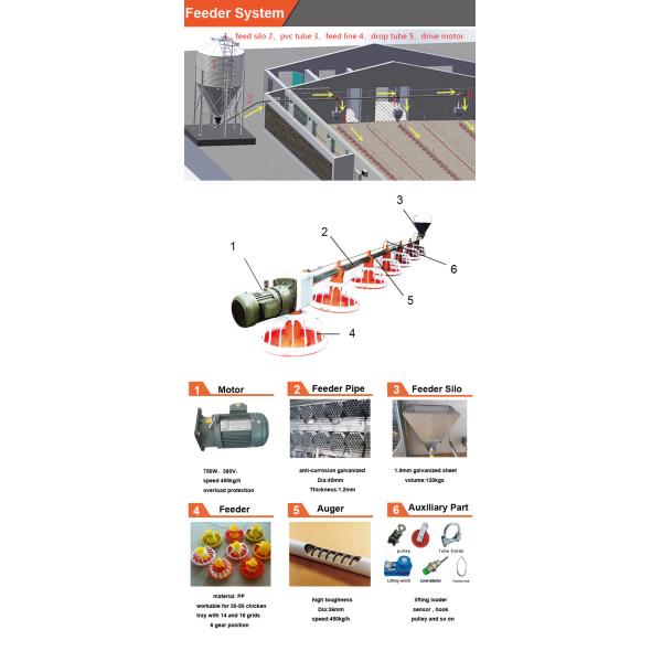 750W Automatic Pan Feeding System