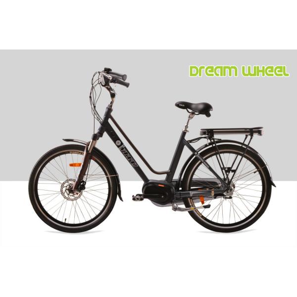 250W 36V Urban City Electric Bike 7.8Ah Samsung Cells