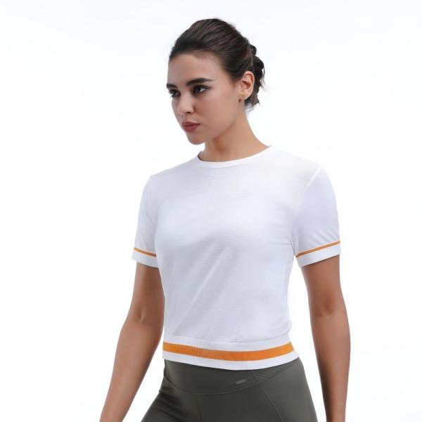 Cropped Mesh Workout Short Sleeve Tops 92% Nylon 8% Spandex